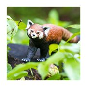 Safari 100320 Red Panda Figurine Multi Color
