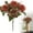 Autumn, variant on 1Pc Fake Peony Flowers with Stems,5 Heads Real Look Silk Peonies Bouquet Bulk for Table Centerpieces Bridal Kitchen Decor,Scarlet
