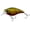 BCR - Brown Craw, variant on Nomad Atlas 55 Square Bill Crank Floating, 2", 3/8oz, Citrus Shad