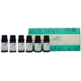 thumbnail image 1 of Set de 6 Aceites Esenciales para difusor Punto aroma Lima, Y. Ylang,Naranja,Canela,Lemongrass, Tea Tree, 1 of 5