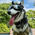 thumbnail image 3 of UV Protection Dog Goggles for Medium & Large Dogs - Waterproof Windproof Sunglasses with Adjustable Elastic Strap - Outdoor Hiking Running Glasses, 3 of 8