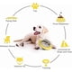 thumbnail image 5 of Bola dispensadora de comida para perros, juguete interactivo para mascotas, entrenamiento Iq, juguetes dispensadores de aburrimiento (amarillo) Rojo Verde Cocina, Decoración y Otros, 5 of 5