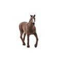 thumbnail image 1 of Schleich Horse Club, Figura de animales, juguetes para caballos para niñas y niños de 5 a 12 años, Englis Schleich Schleich, 1 of 2