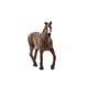thumbnail image 1 of Schleich Horse Club, Figura de animales, juguetes para caballos para niñas y niños de 5 a 12 años, Englis Schleich Schleich, 1 of 2