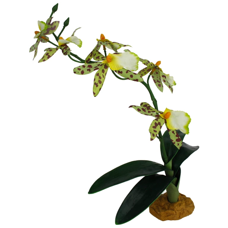 Komodo Silk Orchid Plant with Gravel Base, 14 Inches photo 7