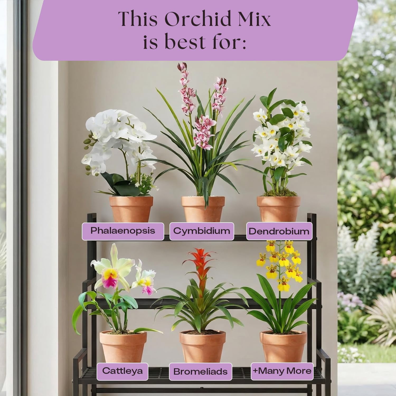 Rosy Soil Orchid Potting Mix, Coarse Fast Draining Orchid Soil with Biochar, Peat Free Mix for Healthy Roots, Indoor Orchids, 4 qt