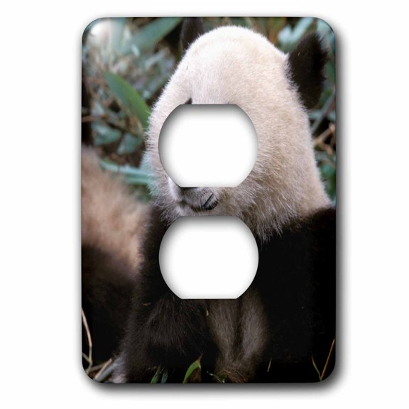 3dRose, China, Chengdu, Panda Sanctuary, Panda bear-AS07 CMI0113 - Cindy Miller Hopkins, 2 plug outlet cover