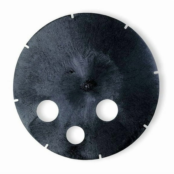 Dayton 18" Sewage Basin Cover 4RK38