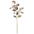 thumbnail image 2 of Gwong Decoración hogareña Hojas artificiales Multiuso de colores brillantes Fallo de seda Simulación de flores de seda Eucalyptus Hojas Display para el hogar Gwong 21062527, 2 of 6