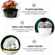 thumbnail image 2 of 2 mini macetas con diseño de pétalos para plantas suculentas, macetas decorativas para el hogar., 2 of 7