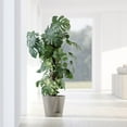 thumbnail image 4 of Ecopots Venice 2 Durable Modern Round Indoor/Outdoor Recycled Based Composite Flower Pot Planter w/ Water Reservoir, Taupe, 12", 4 of 4