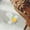 C*1+F*1+G*1+H*1+I*1+L*1+M*1+N*1+P*1, variant on Cute Snack Bag Clips with Strong Spring, Pineapple Sunflower Fruit Design, Reusable Sealing Clips for Chip Bread Coffee Bags, for Household Storage L