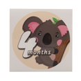 thumbnail image 4 of 1-12 Months Stickers, Different Pattern Safe  Easy To Use Newborn Months Stickers  For Baby For Baby Photography, 4 of 8