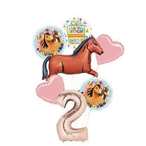 Mayflower Products Spirit Riding Free Party Supplies 2nd Birthday Brown Horse Balloon Bouquet Decorations
