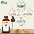thumbnail image 3 of Aceite de Semilla de Granada Organic Zing Natural para Cuidado de Piel, Rostro y Cabello, 3 of 7