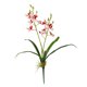 thumbnail image 1 of Artificial Cymbidium Orchid Faux Potted Plant Lifelike Silk Flowers Home Table Centerpiece Living Room Bedroom Hanging Garland Indoor Outdoor Decor, 1 of 6