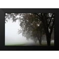 thumbnail image 2 of Putman, Tammy 24x17 Black Modern Framed Museum Art Print Titled - Foggy Trees III, 2 of 5