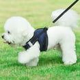 thumbnail image 5 of 2-piece suit Pet Dog Cat Harness + Leash, Adjustable Soft Mesh Comfortable Vest Harnesses, Breathable Night Reflective Strips (for 3.3-6.6 lb), 5 of 8
