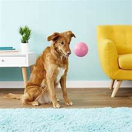 Jolly Pet Bounce-N-Play Ball Pink 6 inch Bubblegum Scented Rubber Dog Toy