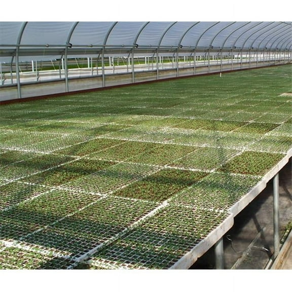 RSI Hydroponic Seed Trays - 242 plugs, 2 Pack