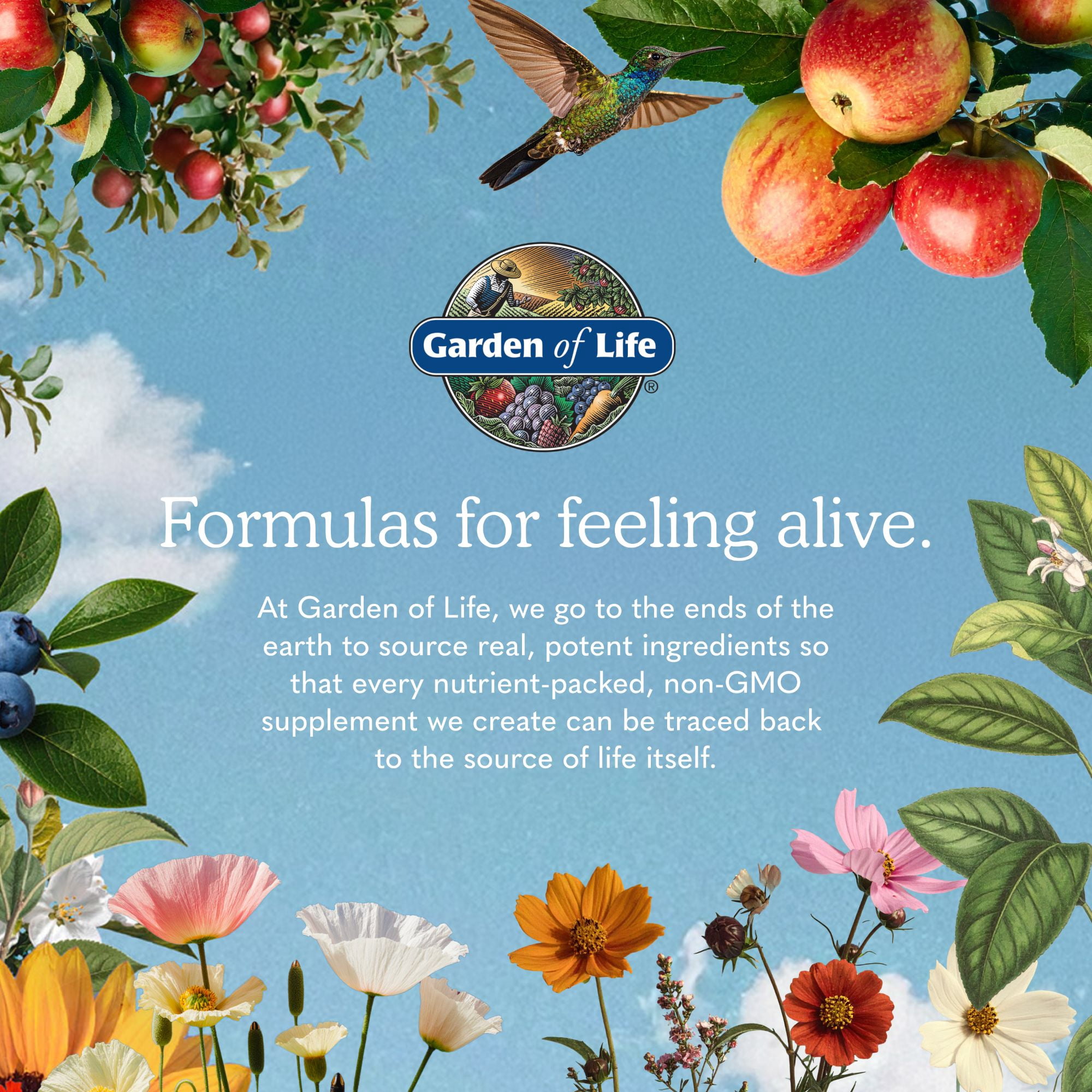 Garden of Life Creatine Monohydrate + Probiotics Non-GMO Gluten-Free Powder 8.1oz