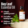 thumbnail image 4 of H'ana Bayleaf Essential Oil - 1.02 fl oz - for Hair, Skin, Diffuser, Aromatherapy, DIY Candle & Soap Making, 4 of 6