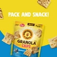Honey Bunches of Oats Granola Chips Blueberry Flavor, 6 oz Bag
