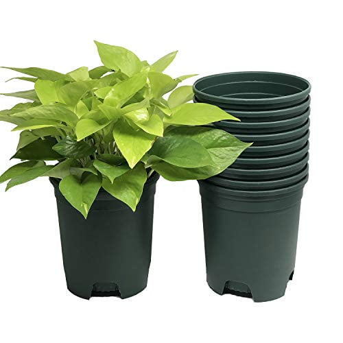 1 Gallon Nursery Pot Plastic Planters 10-Pack Plant Pots with Drainage Holes 