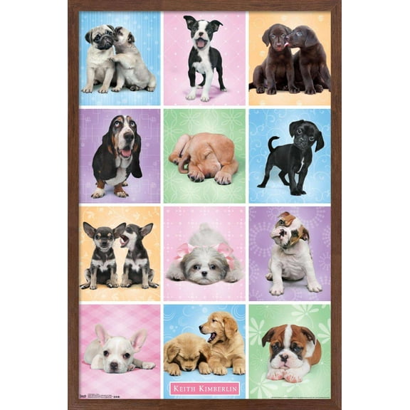 Keith Kimberlin - Puppies - Cuties Grid Wall Poster, 14.725" x 22.375", Framed