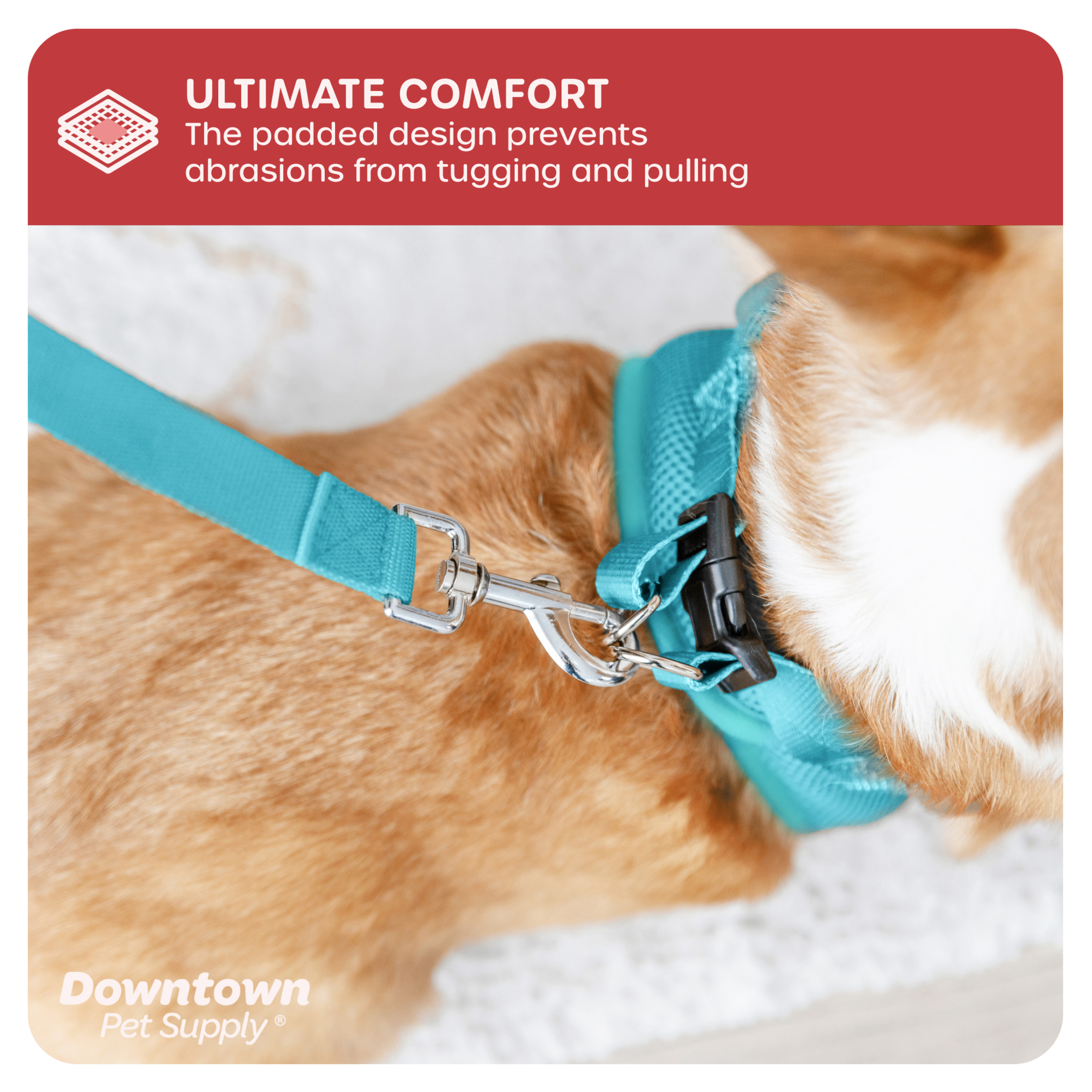 Downtown Pet Supply Step-In Dog Harness, X-Large, Light Blue photo 7