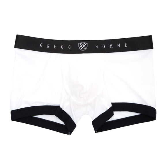 Men's Gregg Homme 201155 Base-X Micromodal Trunk (White S)