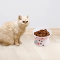 thumbnail image 3 of Juego de de cerámica para gatos, de comida y agua para gatos grandes mayores, 65 mm x 105 mm x 90 mm jinwen Cuenco elevado para gatos, 3 of 8