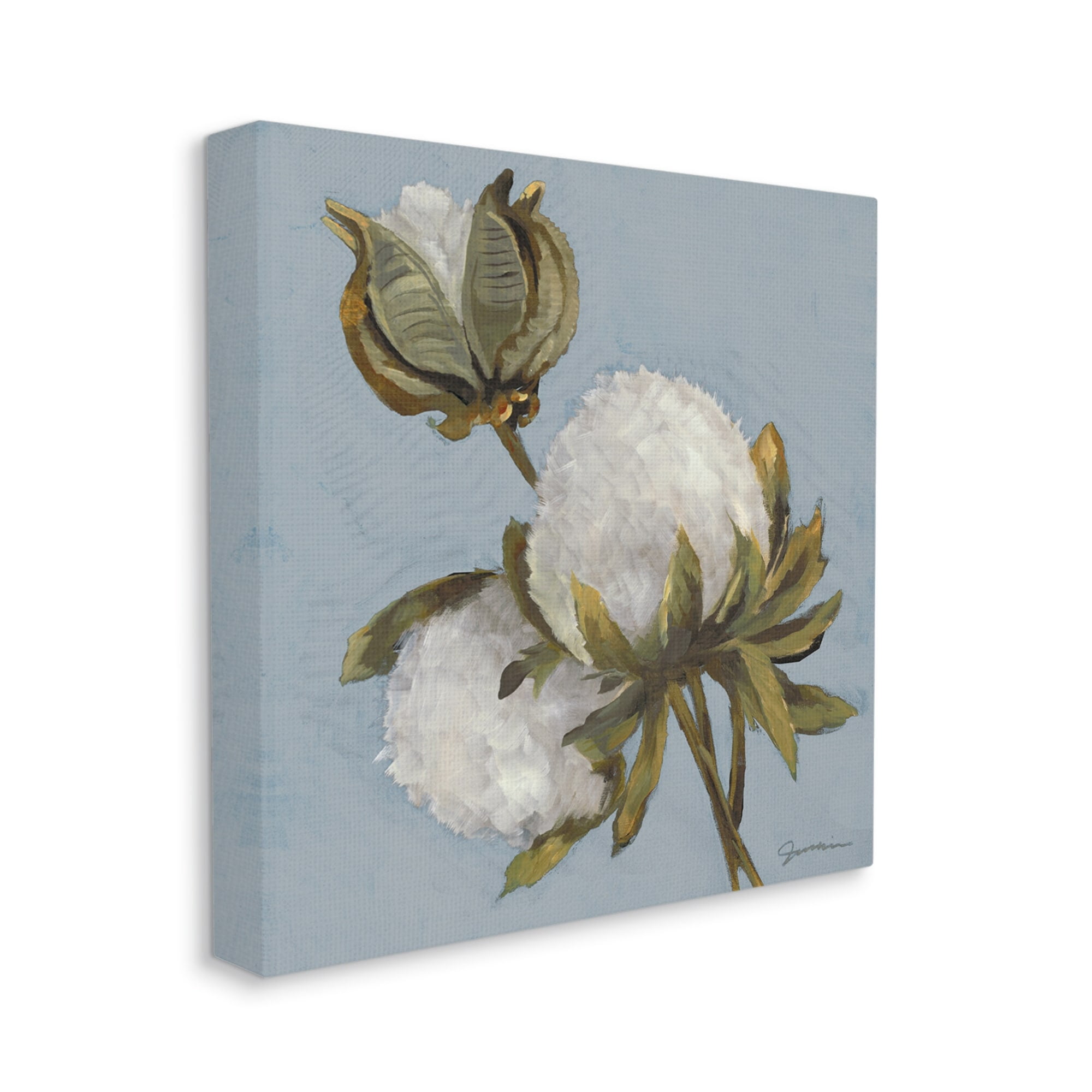 Stupell Industries Cotton Flower Blooms Painting Botanical & Floral Painting Gallery Wrapped Canvas Print Wall Art