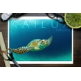 thumbnail image 3 of Kailua, Hawaii, Sea Turtle (9x12 Wall Art Print, Home Decor), 3 of 3