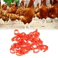 thumbnail image 4 of Chicken Leg Rings, Orange 50pcs Reusable Birds Identification Leg Bands  For Poultry For Training, 4 of 8