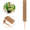 thumbnail image 5 of Set Of 2 Coconut Stakes - For Climbing Plants - Natural Coconut Fiber - Extendable, 5 of 5