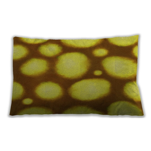Ahgly Company Outdoor Rectangular Contemporary Lumbar Throw Pillow, 13 inch by 19 inch