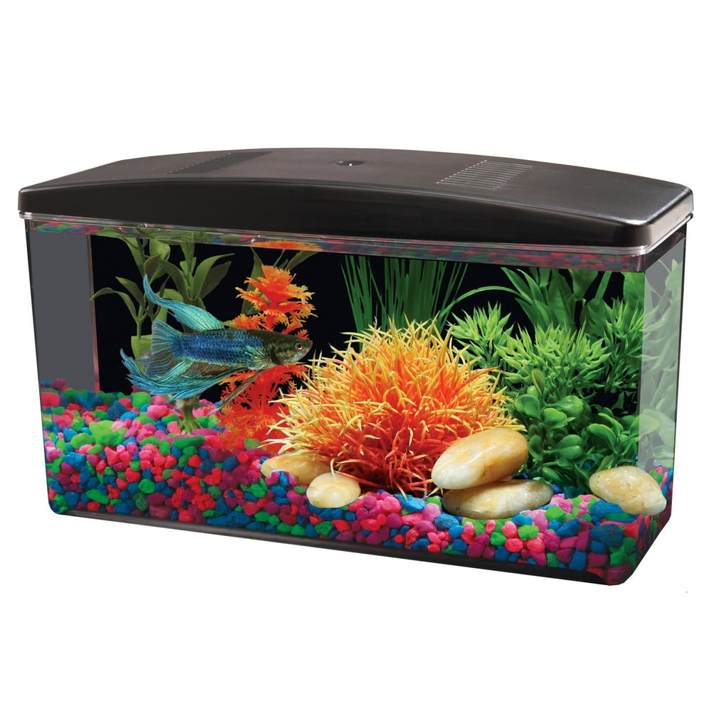 Aqua Culture Betta View 1/2Gallon Fish Tank with Full Hood Walmart