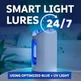 thumbnail image 6 of Indoor Light Fly Trap Starter Kit, Catches House Flies, Fruit Flies, Gnats & More - 1 Trap + 2 Refills, 6 of 9