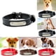thumbnail image 4 of Methold Arneses para perros, cinturón de seguridad, correa de sujeción de plomo ajustable, Clip de seguridad para coche Suministros para perros Negro L, 4 of 6