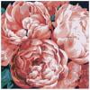 5D DIY Diamond Painting Flower Full Square Kit Rhinestones Decoración para el hogar 30x30cm Hugtrwg Para estrenar
