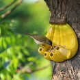 thumbnail image 6 of Banana Shaped Resin Bird Feeder, No Spill Bird Feeder, Automatic Bird Feeder, Durable Outdoor Yard Patio Wildlife Feeding Station for Birds, Novelty Hanging Seed Tray 1Pcs, 6 of 9