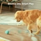 thumbnail image 3 of Juguete interactivo inteligente para perros Hoochii Wicked Ball AIR, 3 of 9