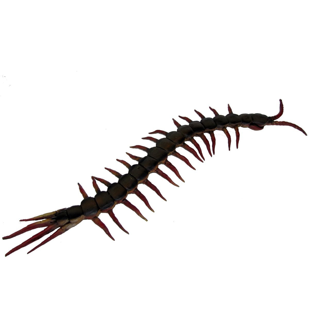 Lifelike Giant 3 Foot Centipede Rubber Toy by, Great theatre prop, Hallowee...
