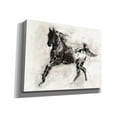 thumbnail image 2 of Epic Graffiti 'Rustic Appaloosa II' by Ethan Harper Canvas Wall Art, 26"x18", 2 of 3