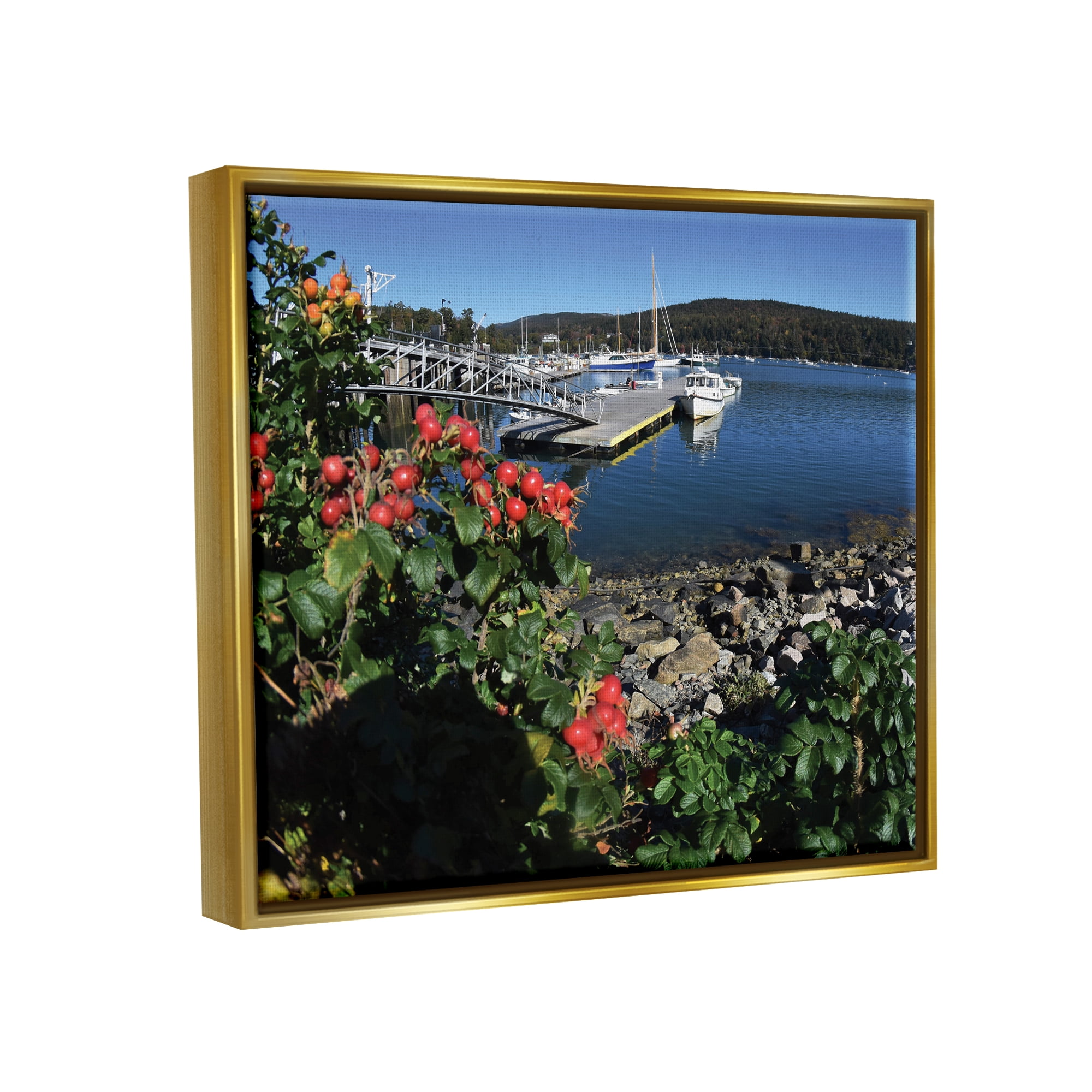 Stupell Industries Boat Harbor Photography Nature Photography Gold Floater Framed Art Print Wall Art, 21 x 17