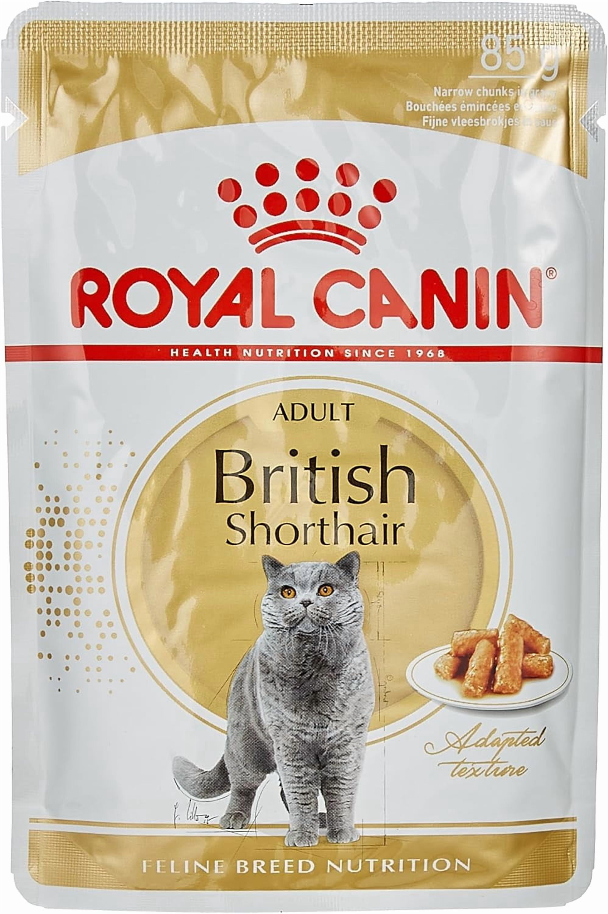 Royal Canin British Shorthair Cat Wet Food in Gravy 12x85g