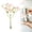 Pink-3.14x2.55 Inch, variant on Artificial Gypsophila Picks, Faux Breath Sprigs, Mini Fake Baby's Breath Stems, Soft Plastic Tiny Flower Buds, Flower Picks for Wedding Bouquet Vase Filler Table Decorative 5Pcs
