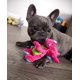 thumbnail image 2 of Dragon de Peluche GoDog Rosado con Tecnología de Protección para Masticar Pequeño, 2 of 7