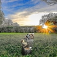 thumbnail image 2 of Solar Squirrel Stacked Waterfall Fountain With Led Lights And Pump, Resin Squirrel Garden Fountain Statue For Outdoor Patio Garden, 2 of 5